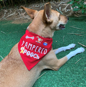 Dog Bandana: Pampered Pooch Bandana for Dogs (Red)