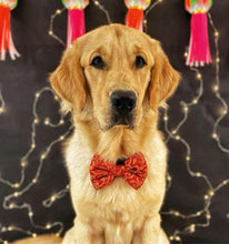 Load image into Gallery viewer, Bow Tie for Pets: Banarasi Dog Bow Tie for Special Occasions