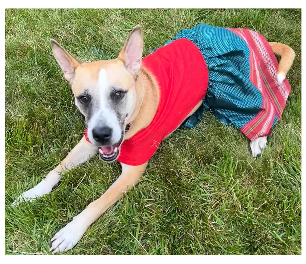 Traditional Khun Anarkali Dress for Dogs (Red and Green)